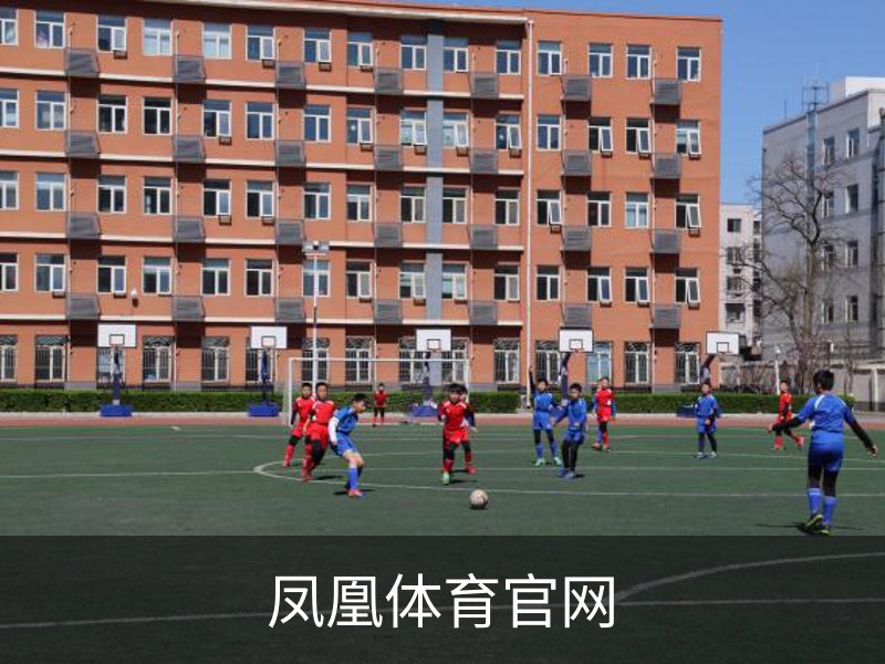 凤凰体育官网简介
